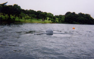 �����̐X�_���΂ɕ����ԃo�C�I�t�@���U�O���^