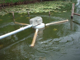 �o�C�I�t�@��25�v�^