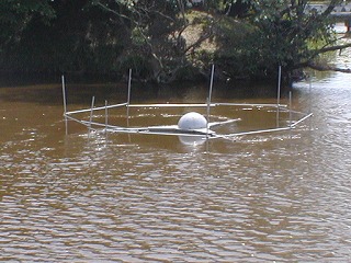 �W�����]���ނ���C�ɑ����A���̐F�����F�Ɉ�ς����B