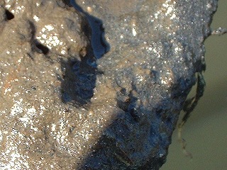 �P�O���P�V���A���ꏊ�̉��D�B