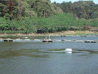 �o�C�I�t�@��60W�^