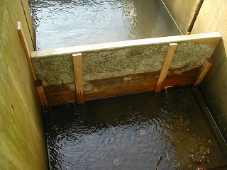 ���ɂ͐��������p�̌����J�����B