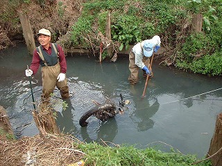 ��̃S�~���E��