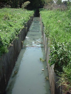 �Q�O�O�Q�N�T���A���͔��������P�X���������Ȃ����߁A�㗬���ɉ��𑝐݂������B