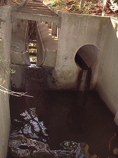 �����݂̌��ʁA�Q�O�O�Q�N�P�P���A�������܂�򉻂��i�񂾁B