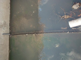 �Q�O�O�R�N�R���A���͐���𕢂��悤�ɂȂ��Ă͂���A����ɑ��̂悤�ȗΑ��������A�R���N���[�g�݂̂̔r���H����m���ɕω��͂��Ă���B