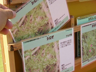 �Z���t�K�C�h�J�[�h