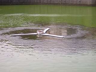 �����ғ��E��D�������グ��