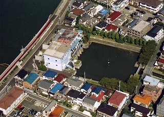 �o�C�I�t�@���U�O�v�P��ł��̍L�����\���J�o�[�ł��� 