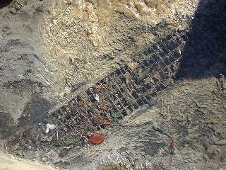 ��ꂩ��搅���Ă���B