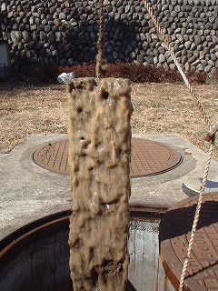 �Q�T�ԉ������𑅂ɗ������ށB��P�w�̒��ŐڐG�ނɒ͂܂鉘�������B