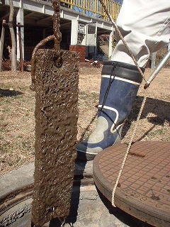 �������̗������Q�T�Ԏ~�߂�ƁA���������͋��H���ɂ�薳���Ȃ�B