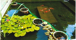 �w�Z�̊ώ@�r���r�I�g�[�v�ɕς���B