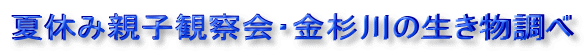 夏休み親子観察会・金杉川の生き物調べ